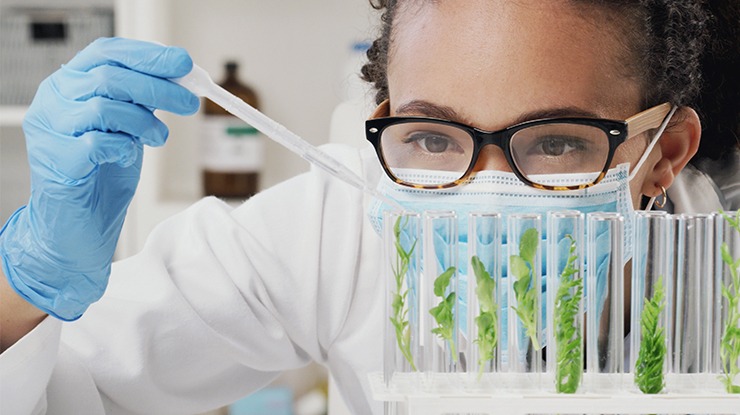 Student researcher in a laboratory uses a pipette to feed plant samples in test tubes, representing Michigan State University’s philosophy and science major, which combines scientific inquiry with critical thinking about the methods, ethics, and foundations of scientific knowledge.