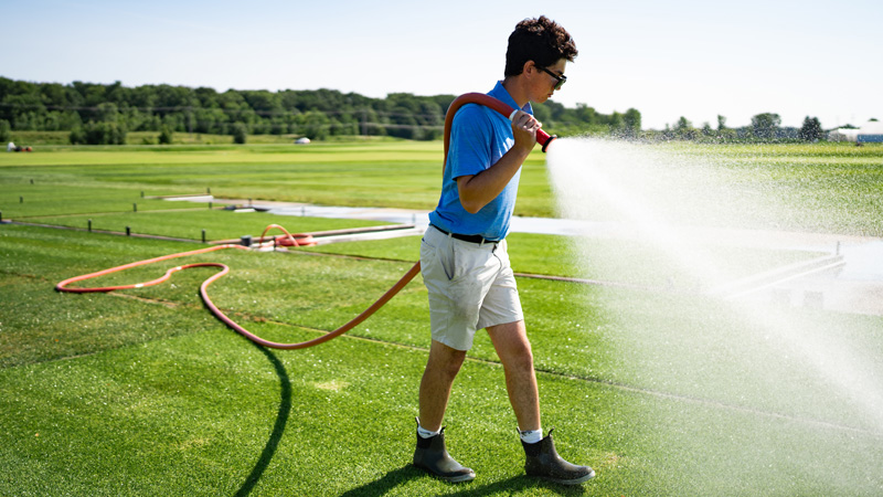 MSU turfgrass management student waters a maintained turf field with a hose during hands-on turfgrass science training.