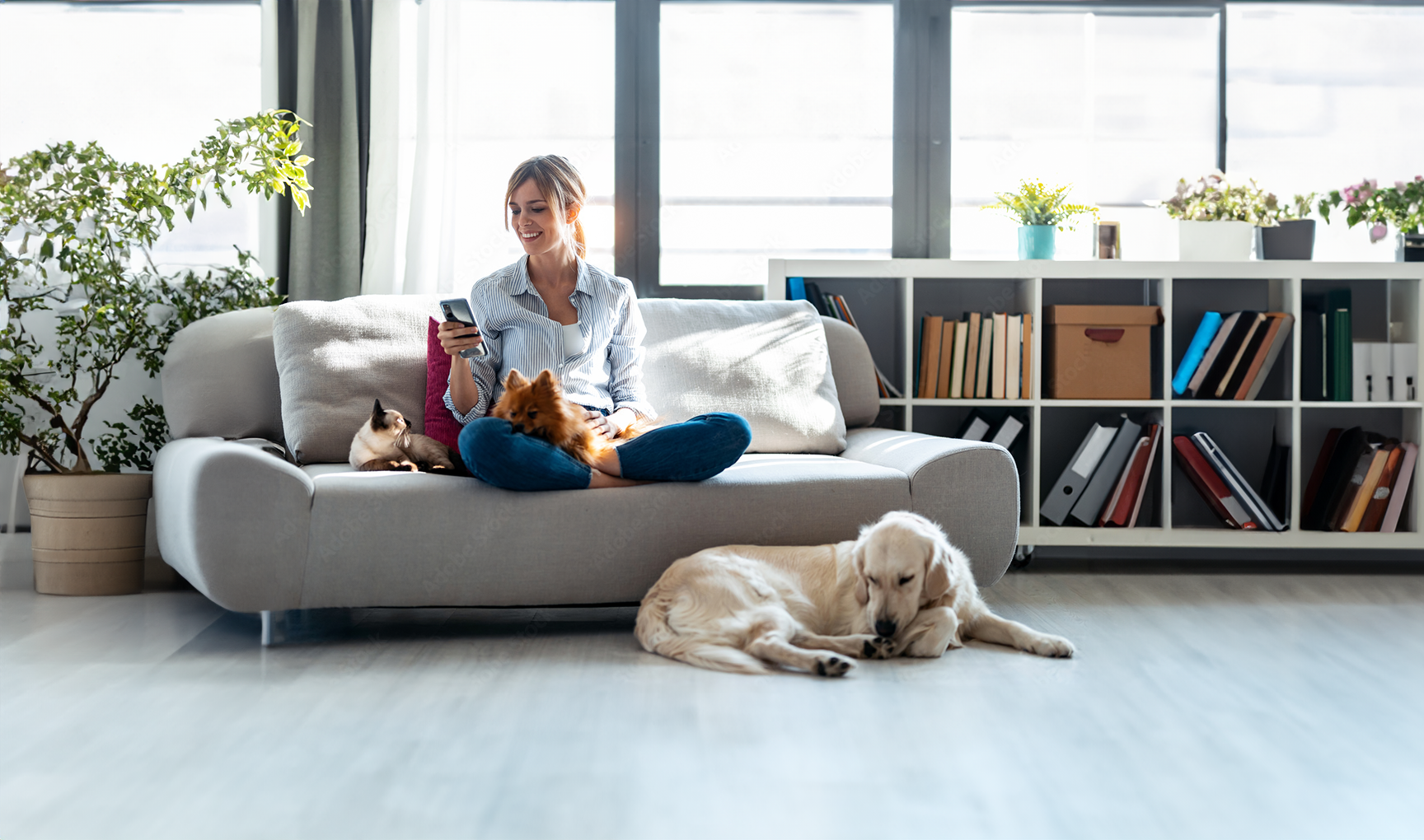 Pet Policy