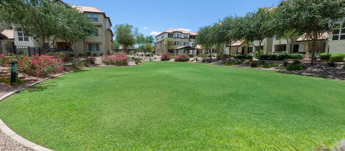 Pet Area at Edge at Lyons Gate luxury apartment homes in Phoenix, AZ