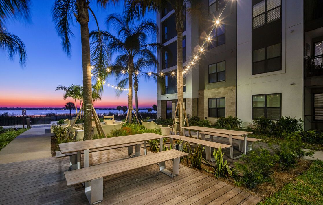 Night Under Palms Image
