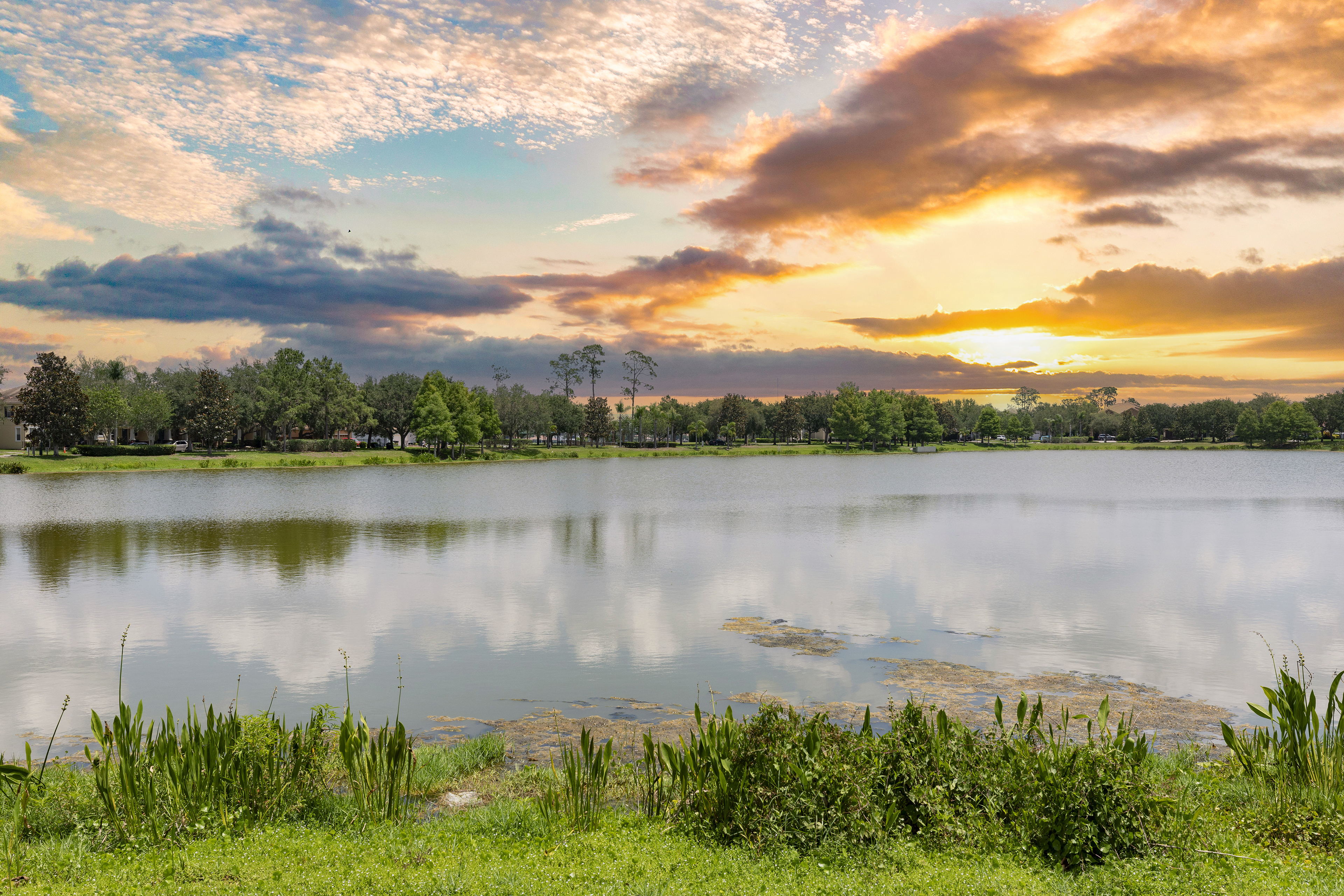 Pond at MAA Windermere luxury apartment homes in Windermere, FL