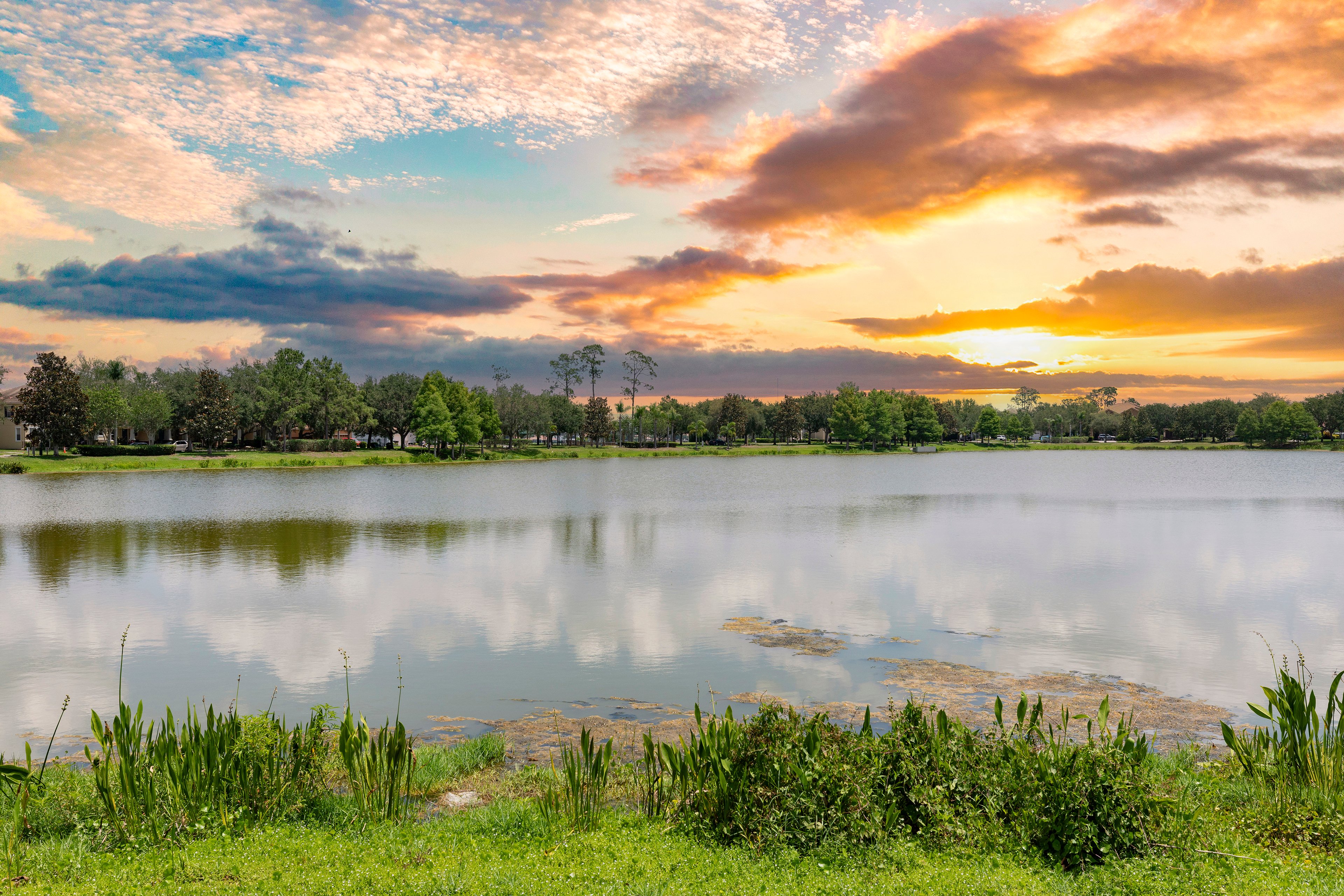 Pond at MAA Windermere luxury apartment homes in Windermere, FL
