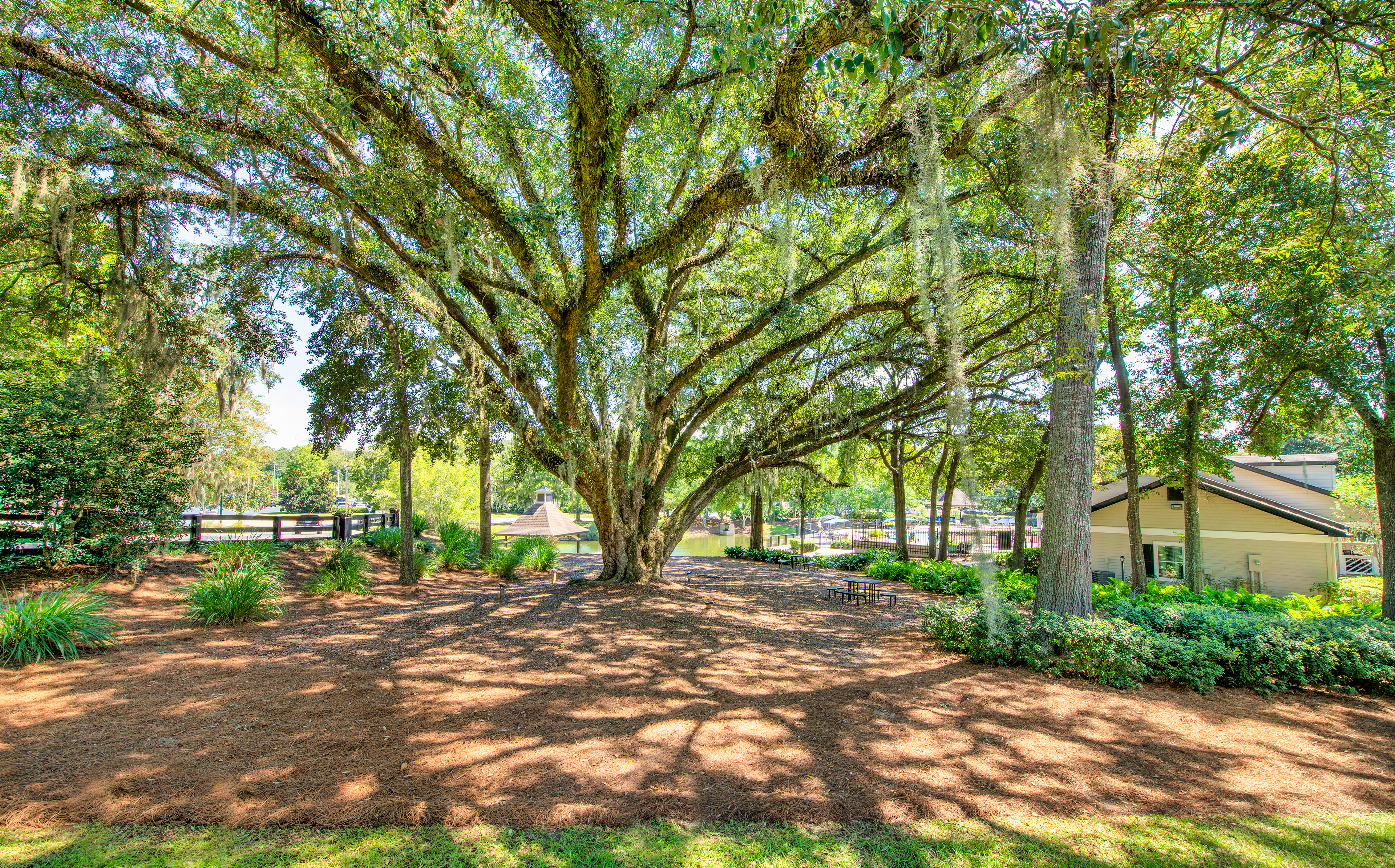 MAA Oak Grove 3 of 11