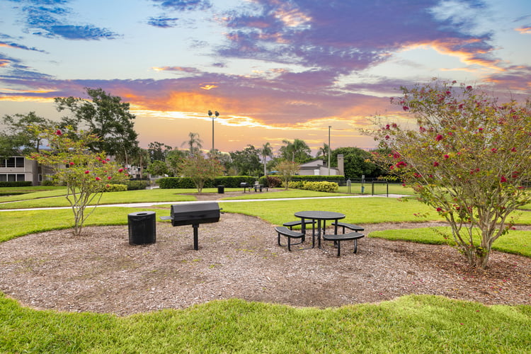 Courtyard - at MAA Belmere luxury apartment homes in Tampa, FL