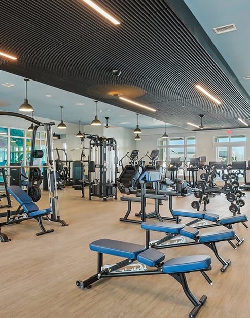 State-of-the-art 24-hour fitness center on hardwood floors with workout benches and various weight machines and ceiling fans at MAA Breakwater luxury apartments in Tampa, FL