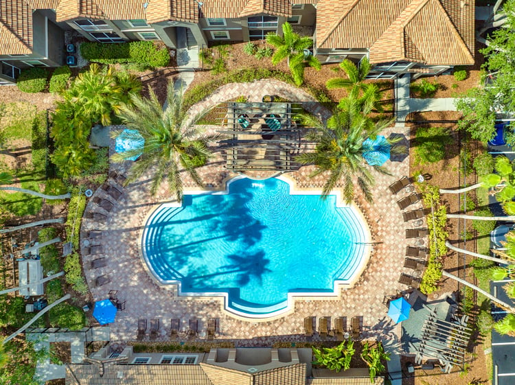 Aerial pool view at MAA Palm Harbor in Tampa, FL