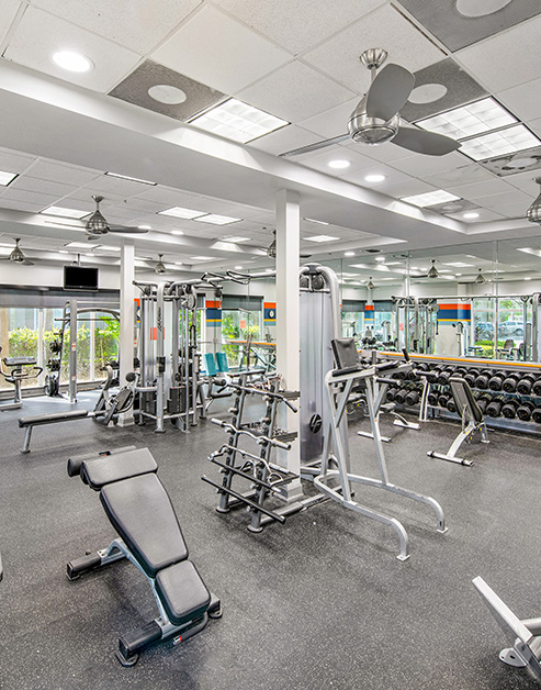 Fitness at MAA Rocky Point luxury apartment homes in Tampa, FL
