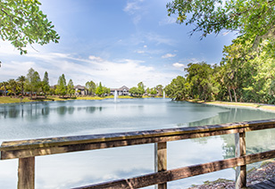 Pond at MAA Seven Oaks