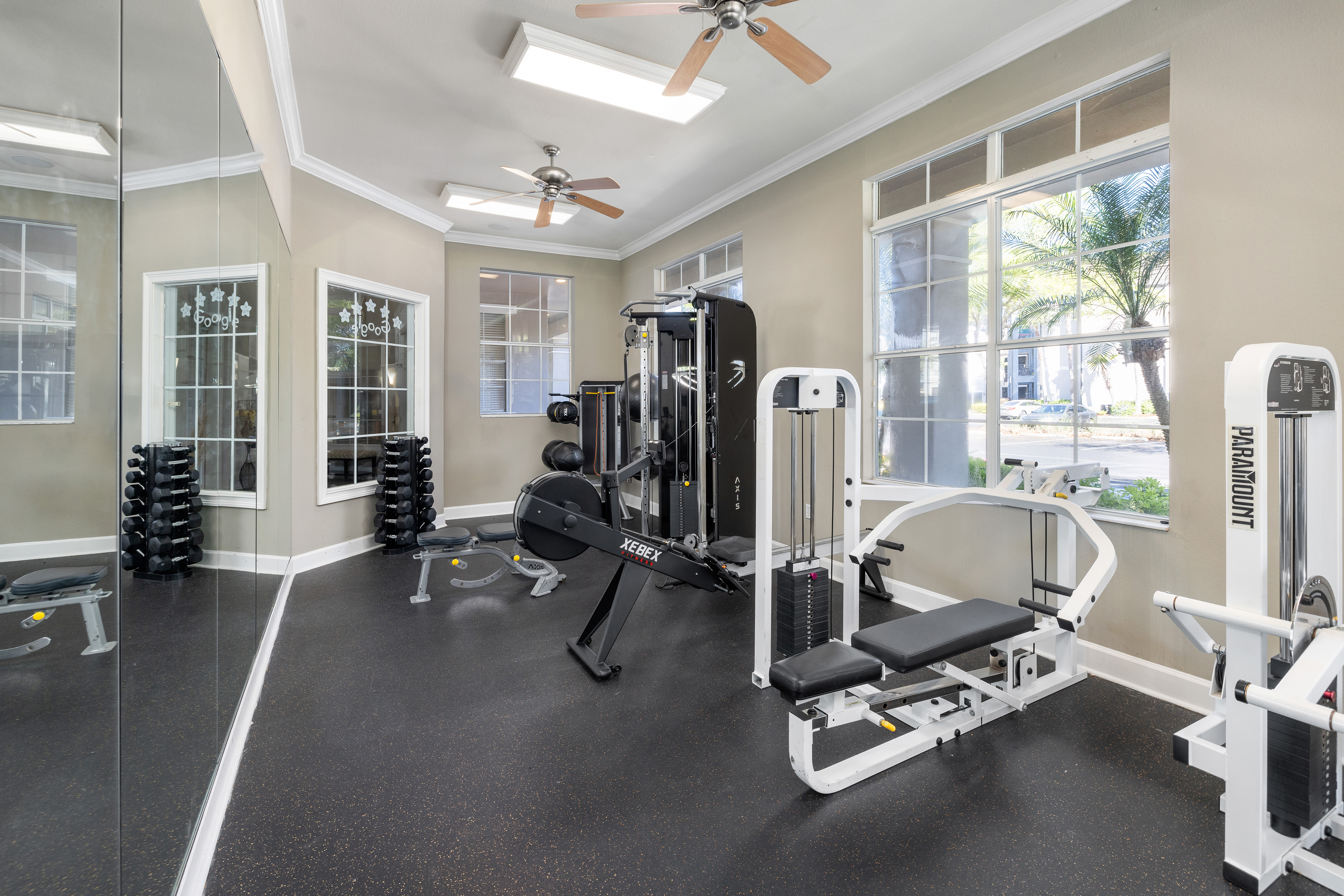 Fitness center at MAA Tampa Oaks luxury apartment homes in Tampa, FL