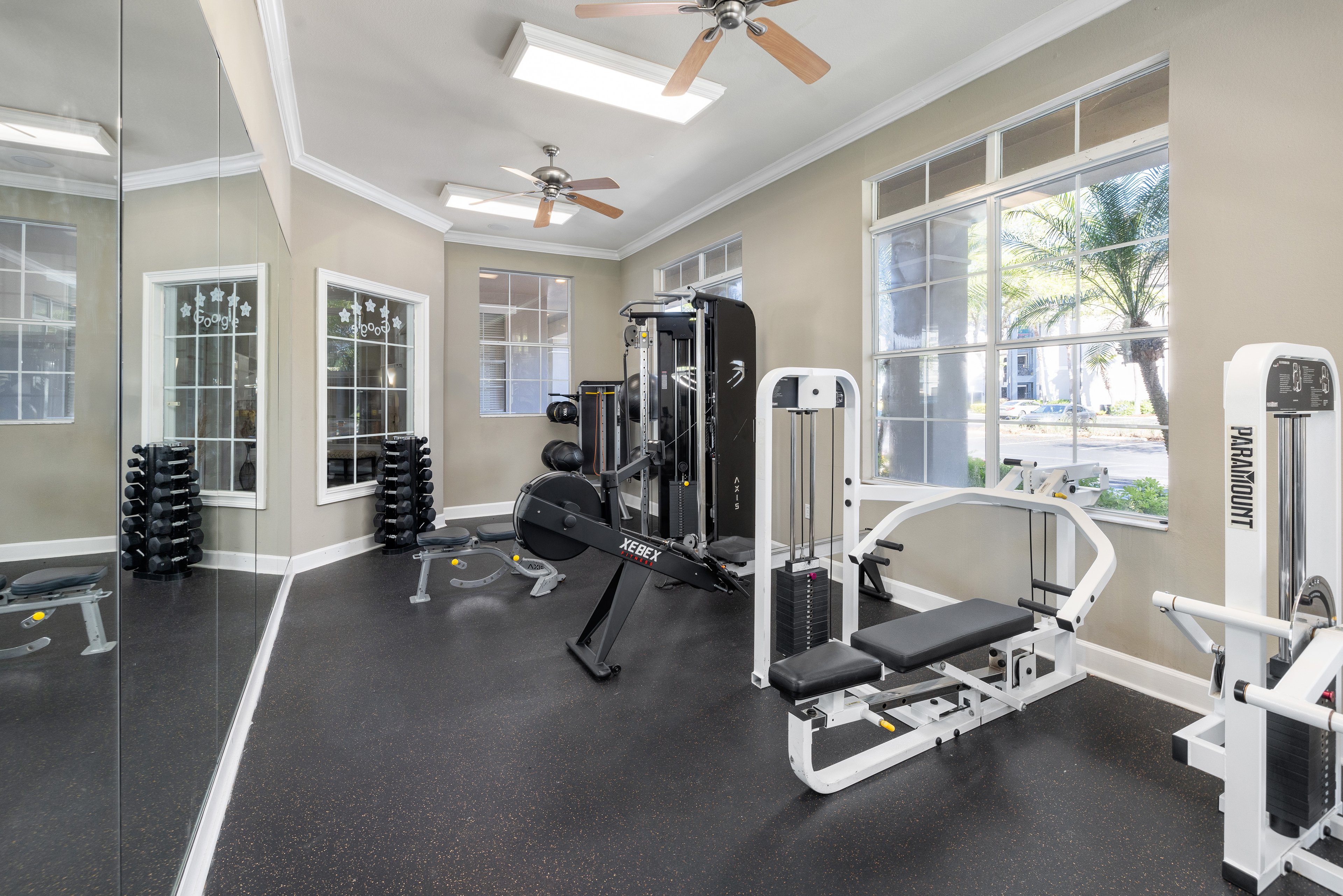 Fitness center at MAA Tampa Oaks luxury apartment homes in Tampa, FL
