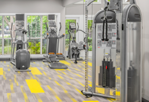 Fitness center with variety of workout equipment next to large picture windows at MAA Brookhaven luxury apartments in Atlanta, GA