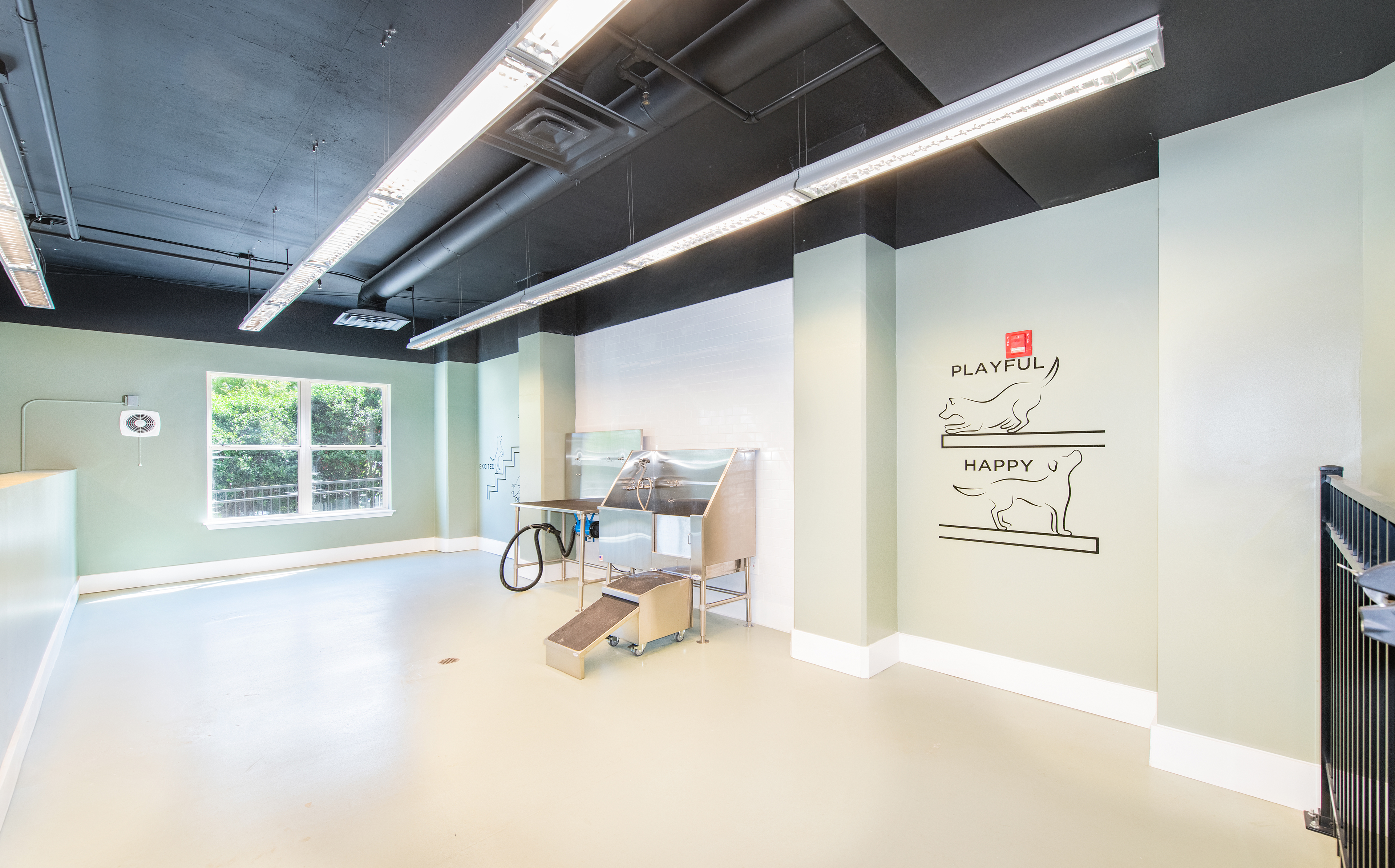 Pet spa at MAA Buckhead luxury apartment homes in Atlanta, GA