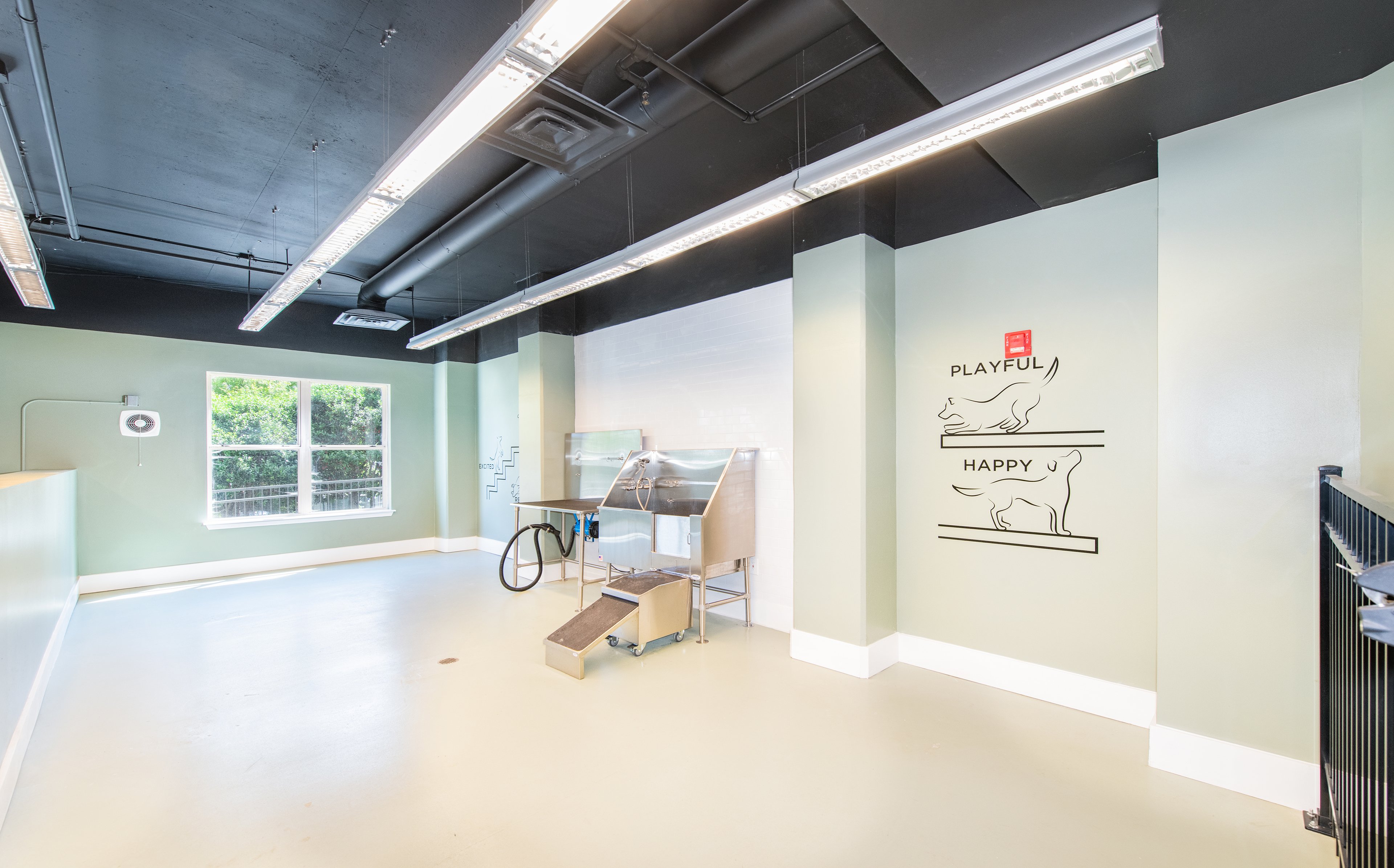 Pet spa at MAA Buckhead luxury apartment homes in Atlanta, GA