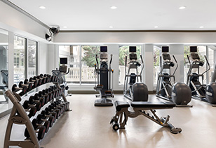 Side view of fitness center with free weights rack, workout bench and rows of elliptical machines next to windows at MAA Gardens luxury apartments in Atlanta, GA