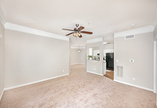 Side view of spacious empty carpeted living room area with a ceiling fan at MAA Lake Lanier luxury apartments in Gainesville, GA