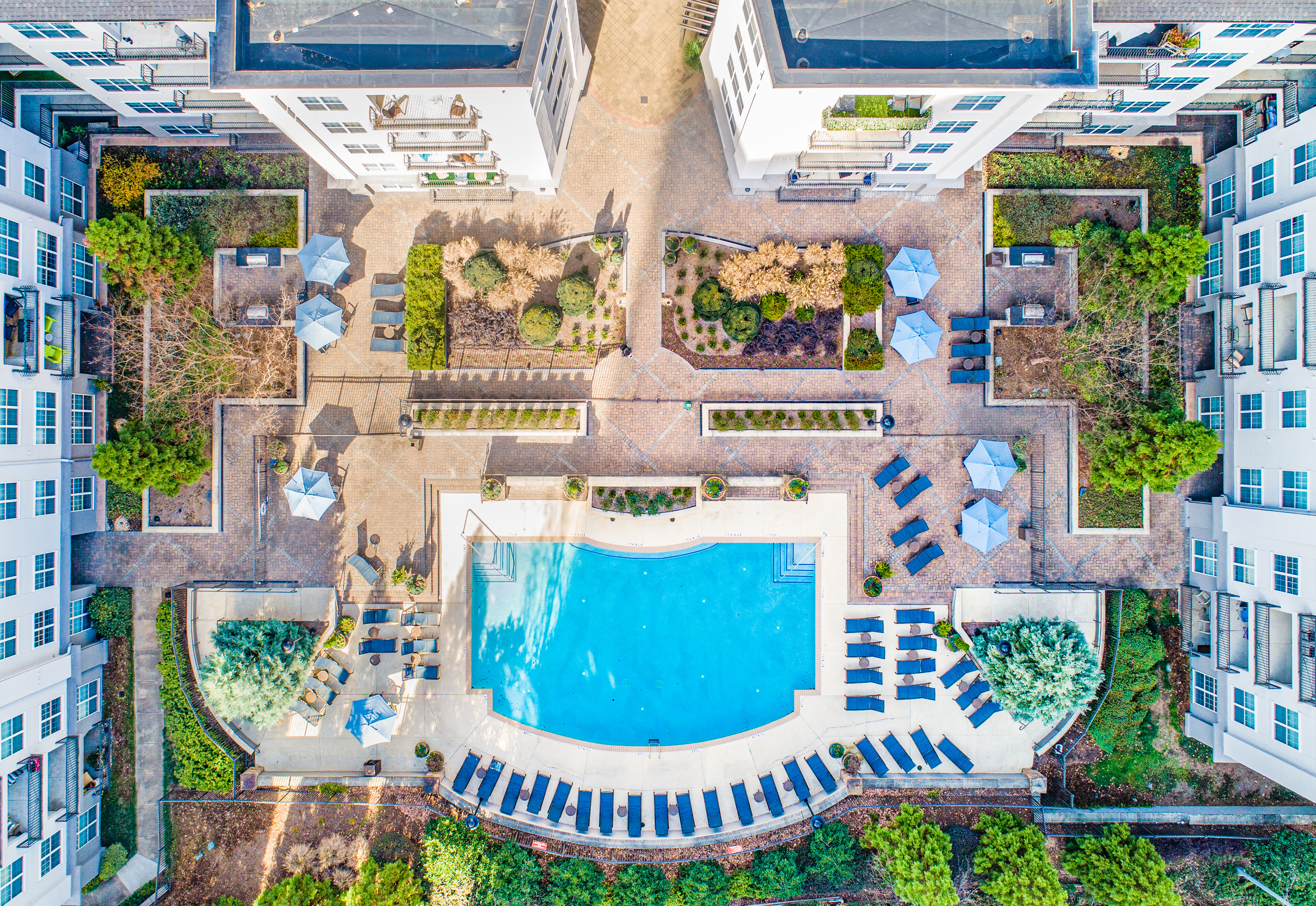 Aerial top view of swimming pool surrounded by lounge chairs and greenery in the center of the apartment complex at MAA Lenox luxury apartment homes in Atlanta, GA