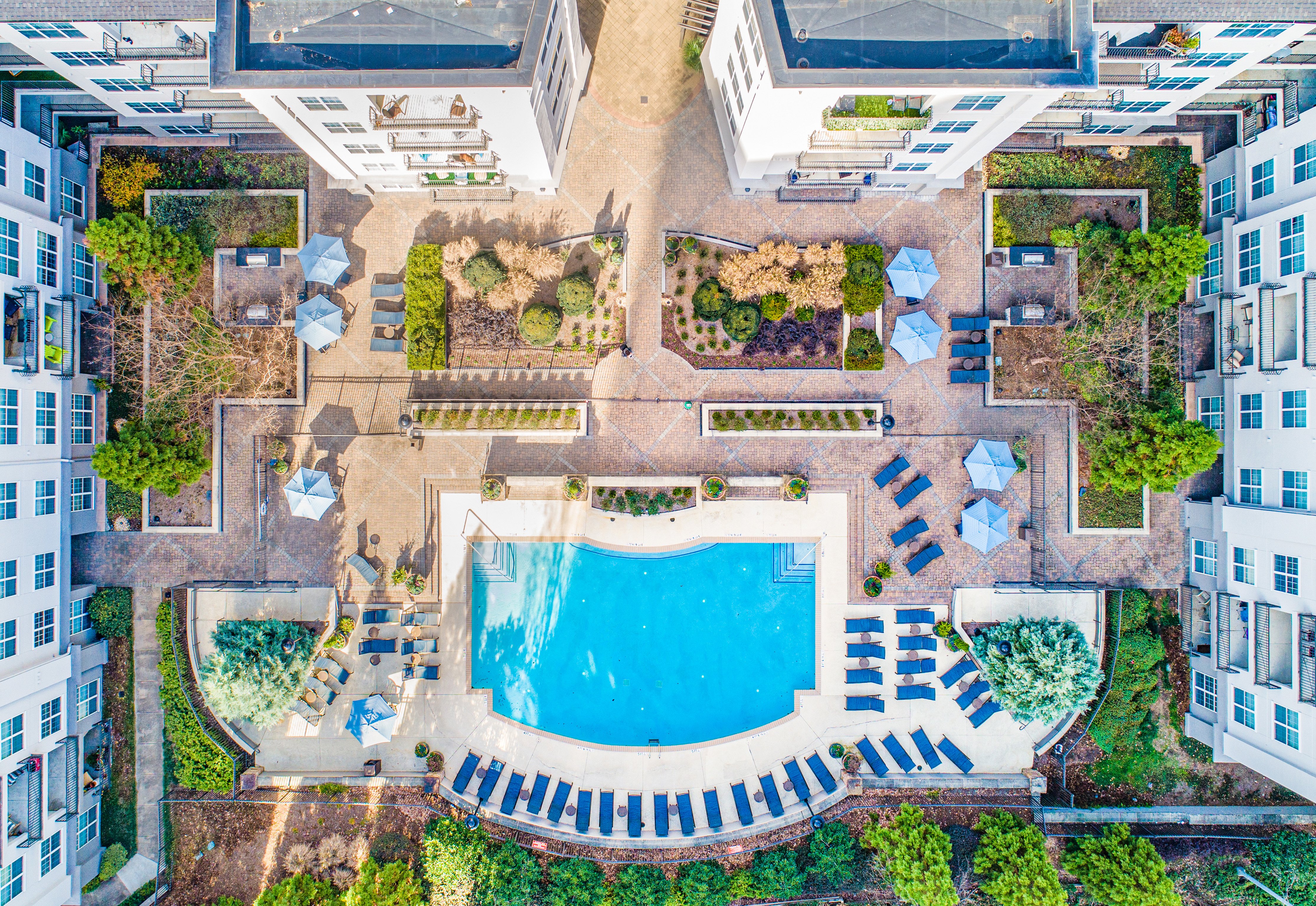 Aerial top view of swimming pool surrounded by lounge chairs and greenery in the center of the apartment complex at MAA Lenox luxury apartment homes in Atlanta, GA