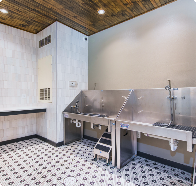 Community custom pet spa complete with wash stations and countertops at MAA Piedmont Park luxury apartments in Atlanta, GA