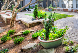 Common area with beautifully kept planters and landscape at MAA Piedmont Park luxury apartments in Atlanta, GA