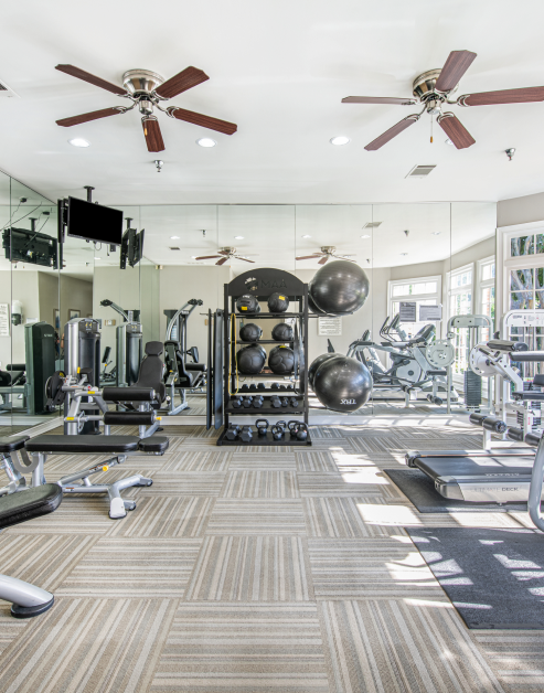 Upscale fitness center with weight machine stations, mirrored walls and ceiling fans at MAA River Oaks luxury apartments in Duluth, GA