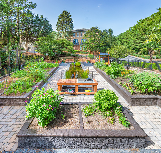 Community garden with a paved walkway and garden beds with wooden sitting benches surrounded by lush greenery at MAA Riverside luxury apartments in Atlanta, GA
