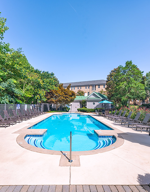 Long view of swimming pool with metal handrails and entrance steps surrounded by lounge chairs and lush greenery at MAA Riverside luxury apartments in Atlanta, GA