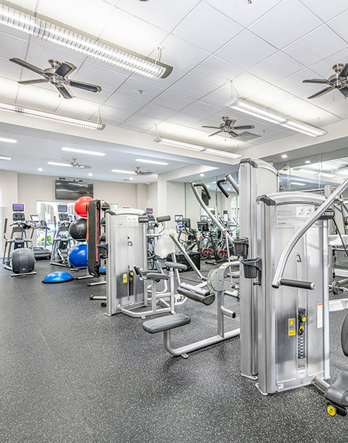 Community fitness center with ceiling fans, various weight machines and exercise balls on a rack at MAA Riverside luxury apartments in Atlanta, GA