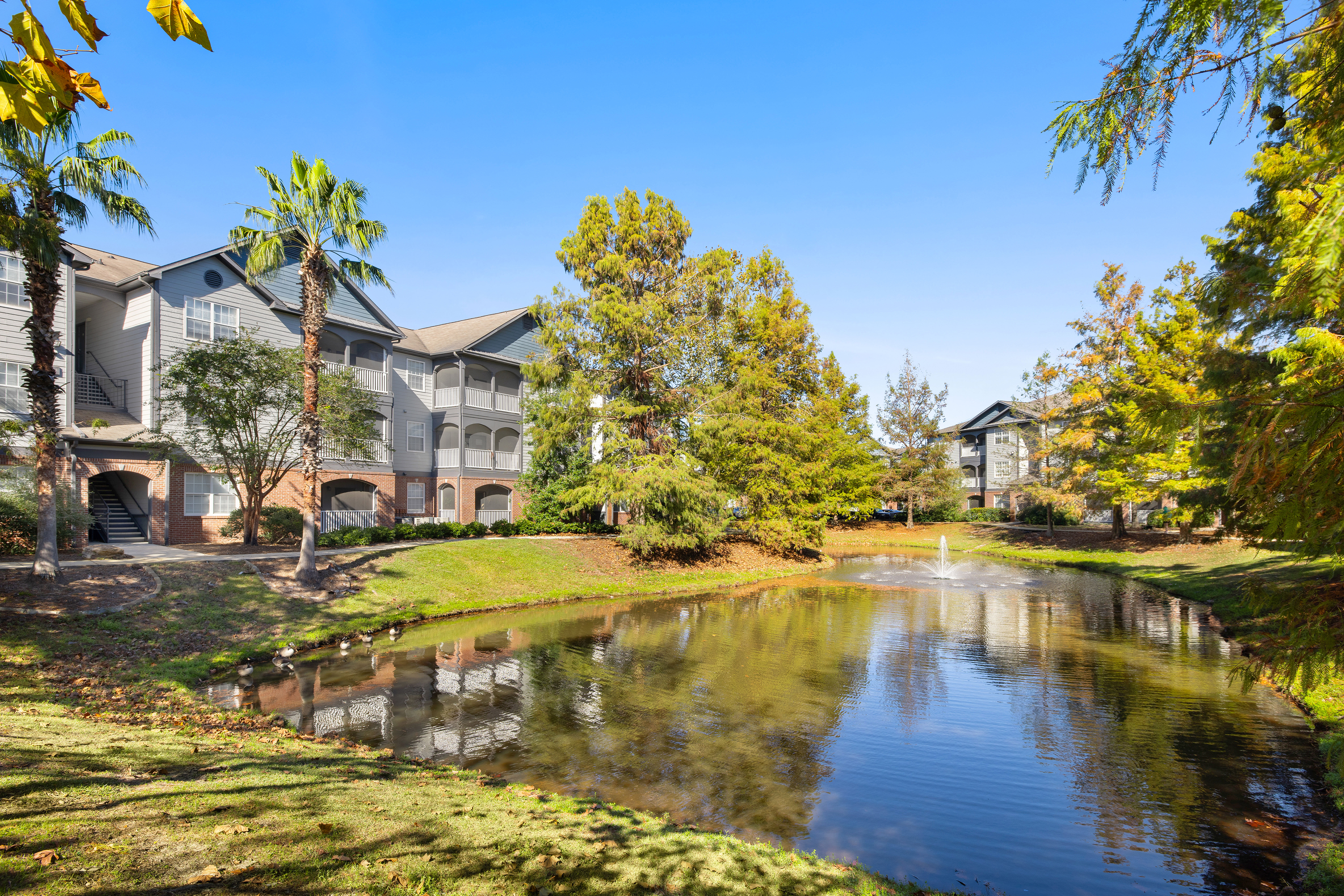 Pond at MAA Benton luxury apartment homes in Savannah, GA