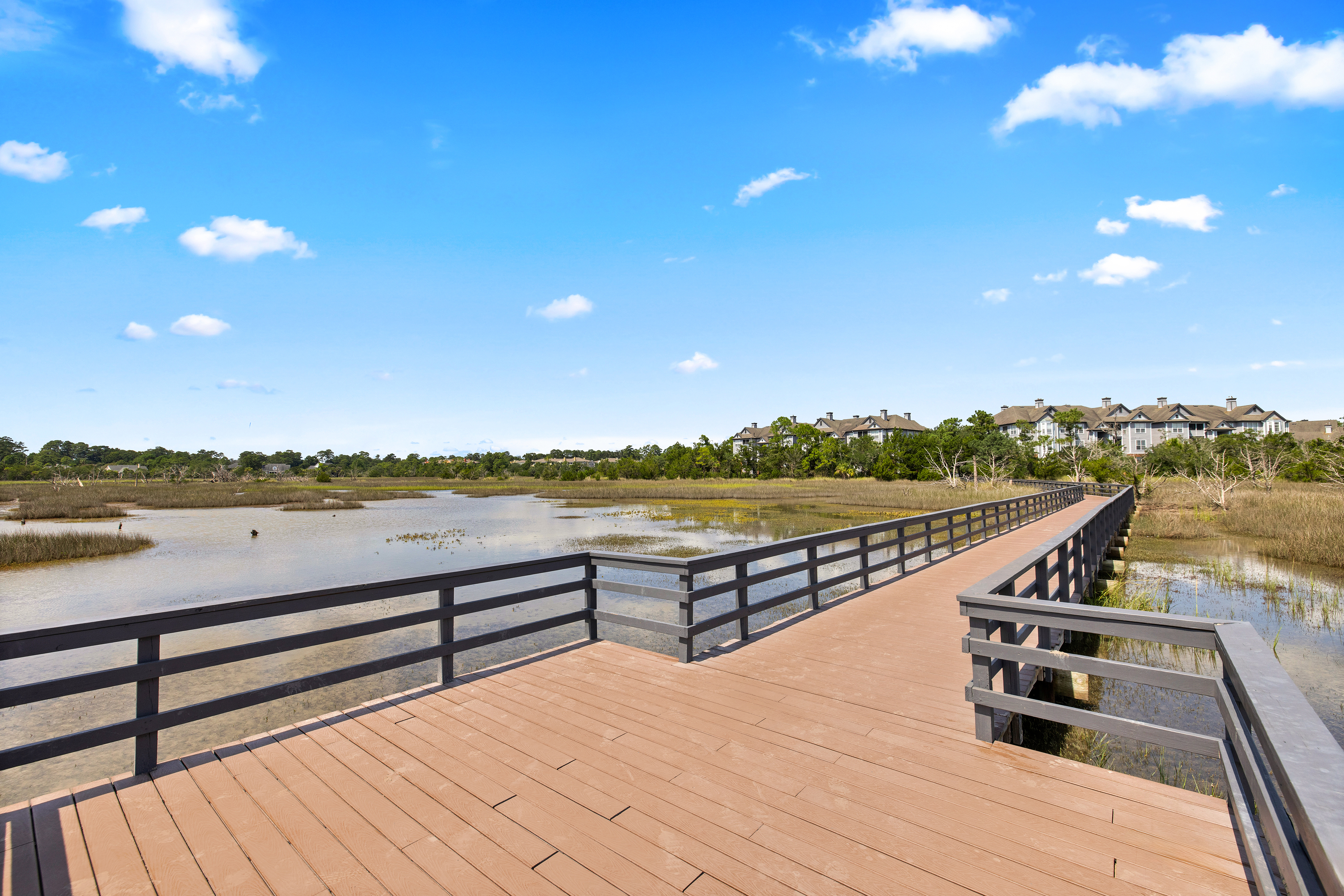 Pond -  at MAA Hammocks luxury apartment homes in Savannah, GA