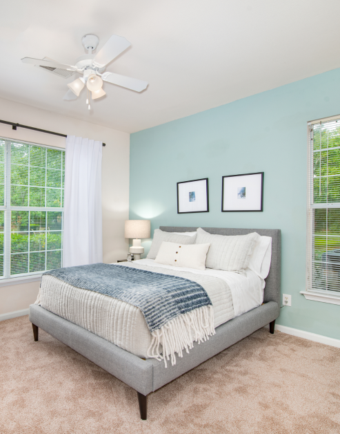 Bedroom with blue accent wall, ceiling fan, wall paintings above bed and large windows with blinds at MAA Beverly Crest luxury apartments in Charlotte, NC