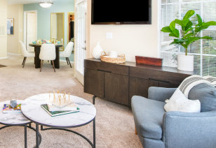 Living room area with wall mount TV above dark brown cabinet, coffee table next to a blue armed chair at MAA Fifty-One luxury apartments in Matthews, NC