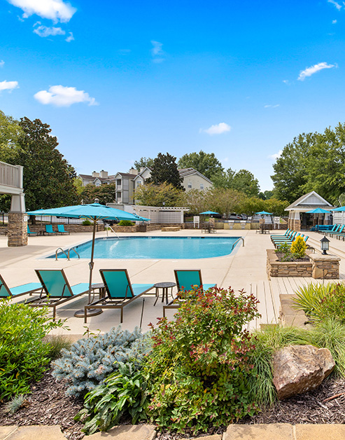 Sparkling swimming pool with lounge chairs, pergolas and surrounded with lush green trees at MAA Legacy Park luxury apartments in Charlotte, NC
