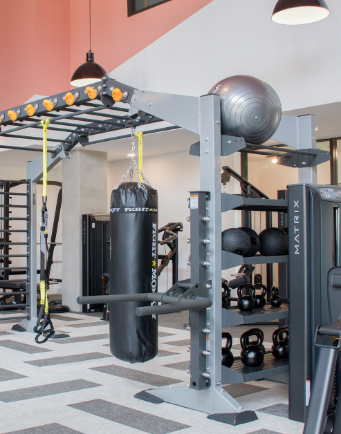 Fitness center with hanging lights, boxing bag, yoga ball and other gym equipment at MAA LoSo luxury apartments in Charlotte, NC