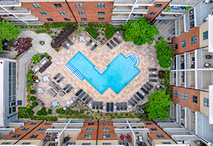 A top view of a pool, surrounded by lounge chairs and lush greenery situated in the middle of an apartment complex at MAA South Line luxury apartments in Charlotte, NC