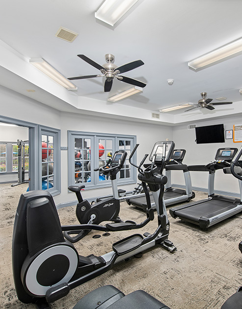 Fitness center with treadmills and other workout equipment on carpeted floors with a wall mounted TV and ceiling fans at MAA South Park luxury apartments in Charlotte, NC
