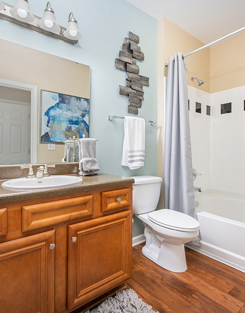 Bathroom at MAA Brierdale luxury apartment homes in Raleigh, NC