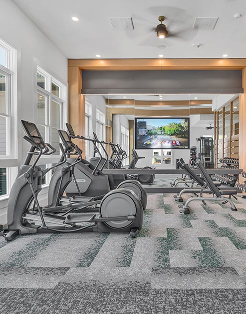 Carpeted fitness center with a row of elliptical machines next to large picture windows and mirrored wall with wood frame at MAA Vale luxury apartments in Raleigh, NC