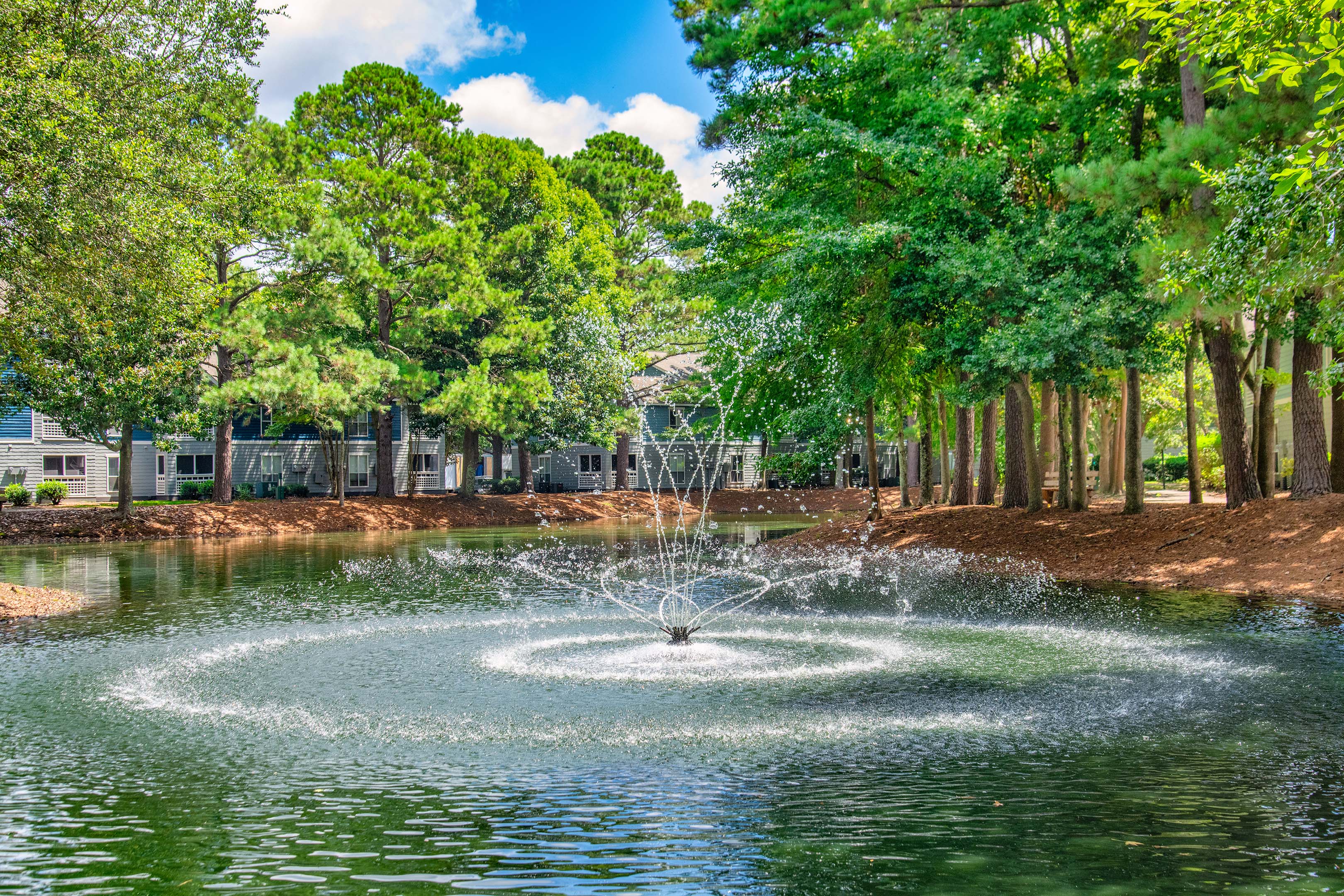 MAA James Island 6 of 8