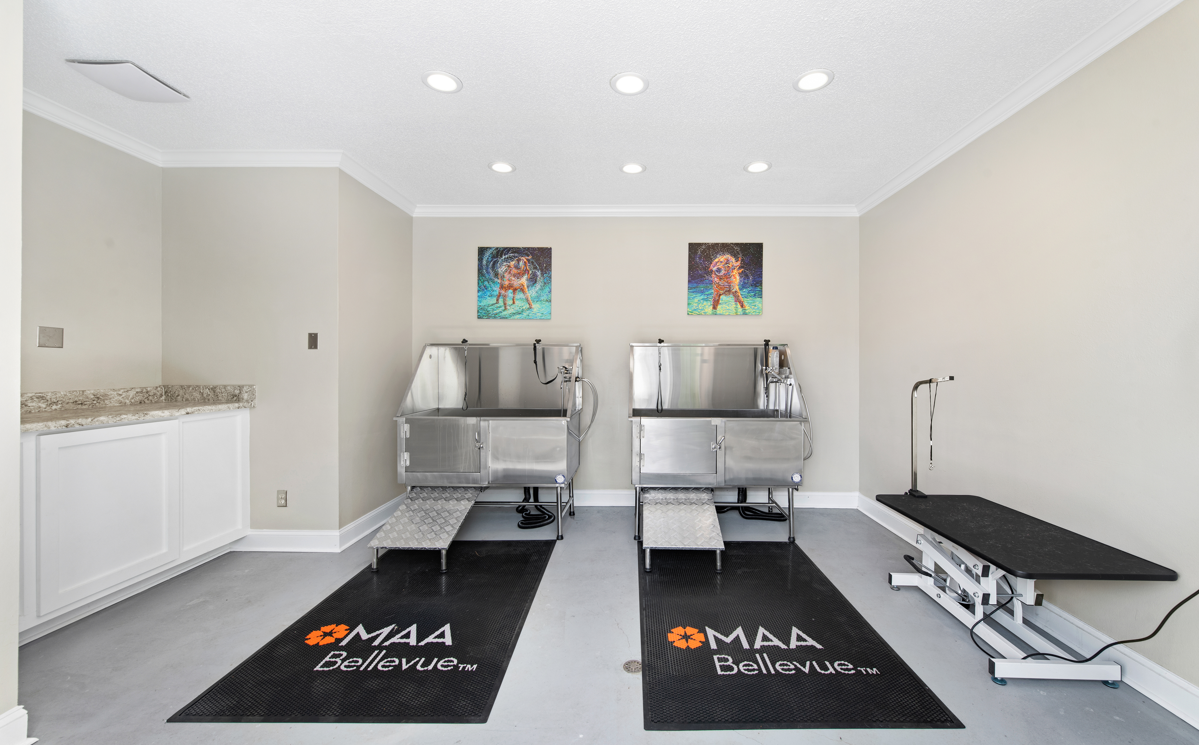 Pet Salon at MAA Bellevue in Nashville, TN