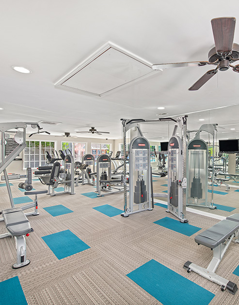 Carpeted fitness center with ceiling fans, wall mounted TVs and variety of workout equipment next to large picture windows at MAA Brentwood luxury apartments in Nashville, TN