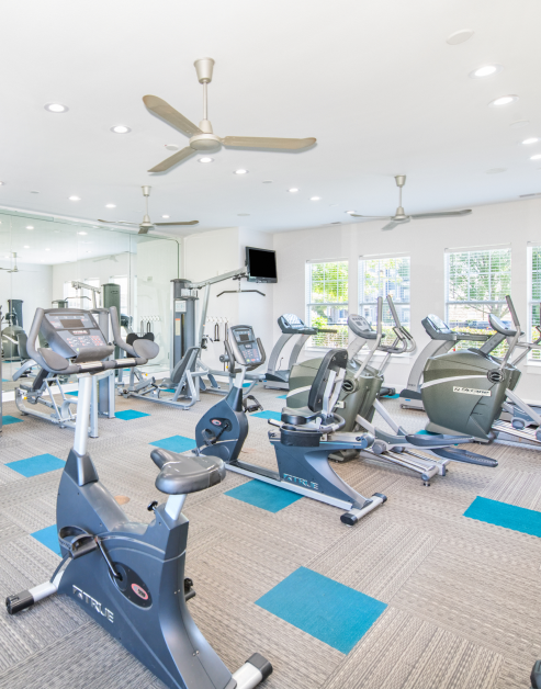 Fitness center with ceiling fans, a wall mounted TV, large windows in natural light and variety of gym equipment next to a mirrored wall at MAA Kennesaw Farms luxury apartments in Gallatin, TN