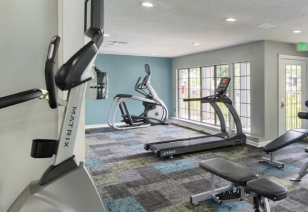 Fitness center with elliptical, treadmills and various workout equipment next to large picture windows at MAA Park luxury apartments in Hermitage, TN