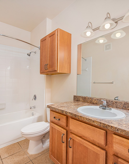 Bathroom with light fixtures above a large vanity mirror and granite countertop with a sink and wooden cabinets next to a bathtub at MAA Canyon Creek luxury apartments in Austin, TX