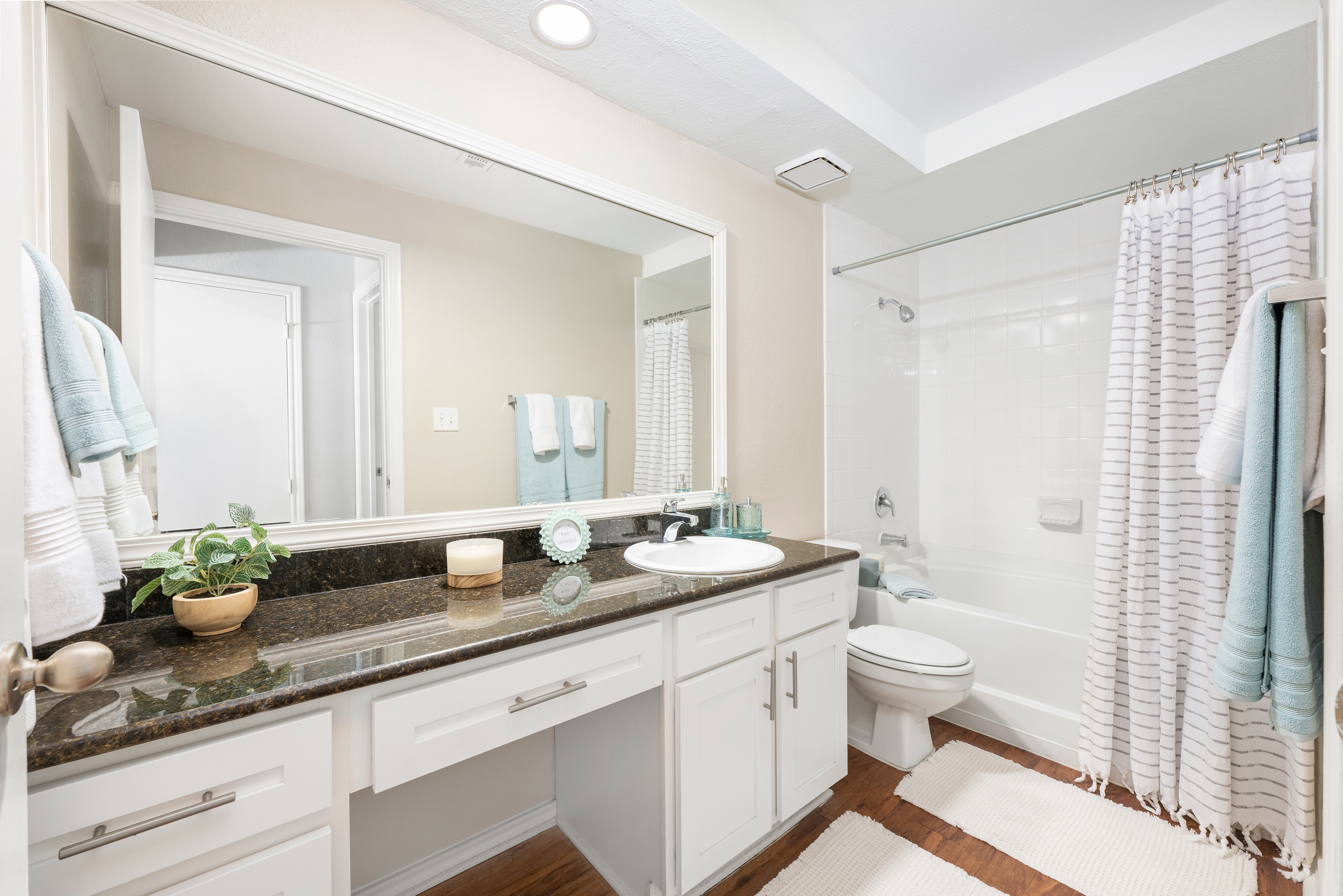 Bathroom at MAA Park Mesa luxury apartment homes in Austin, TX