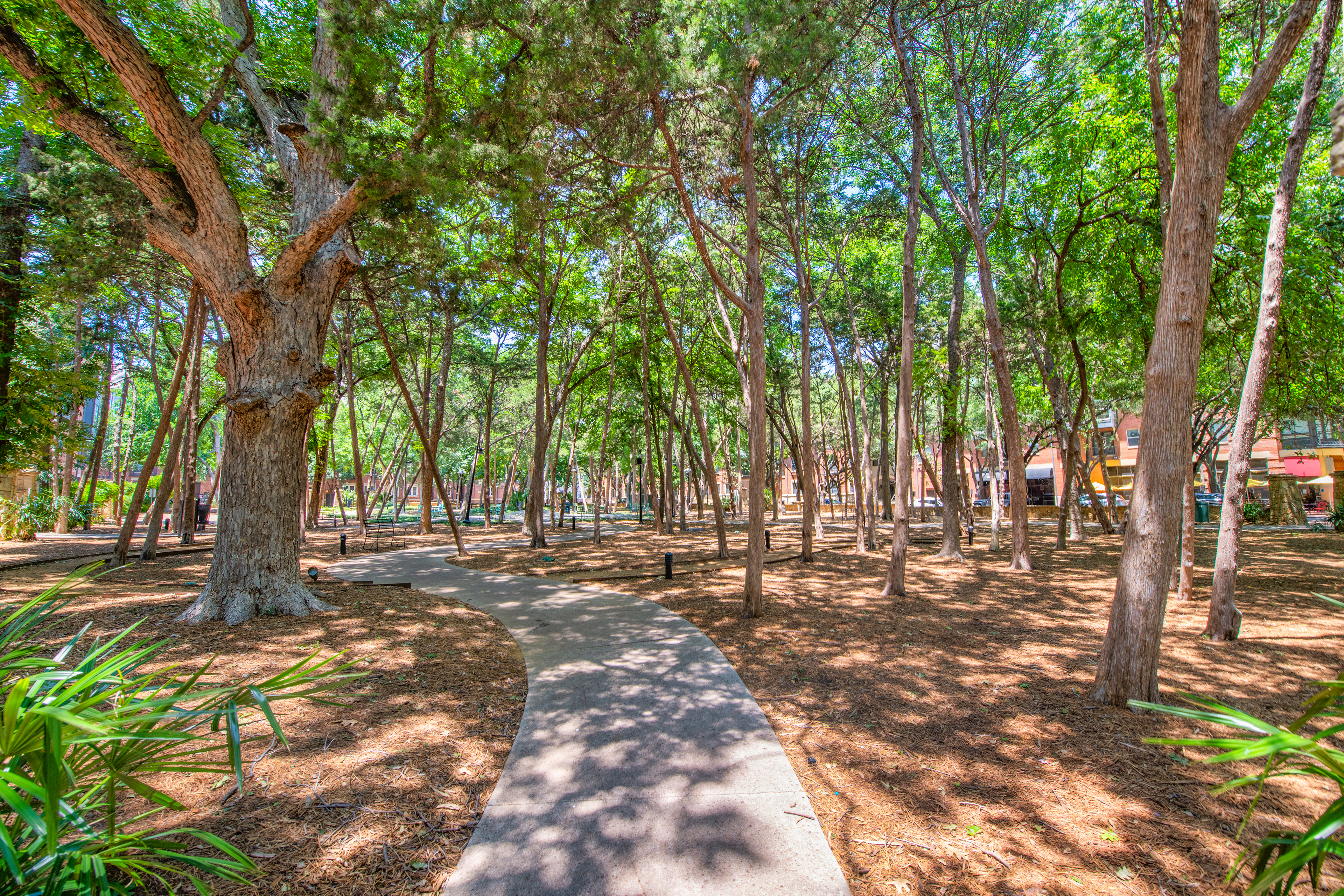 MAA Addison Circle 5 of 12