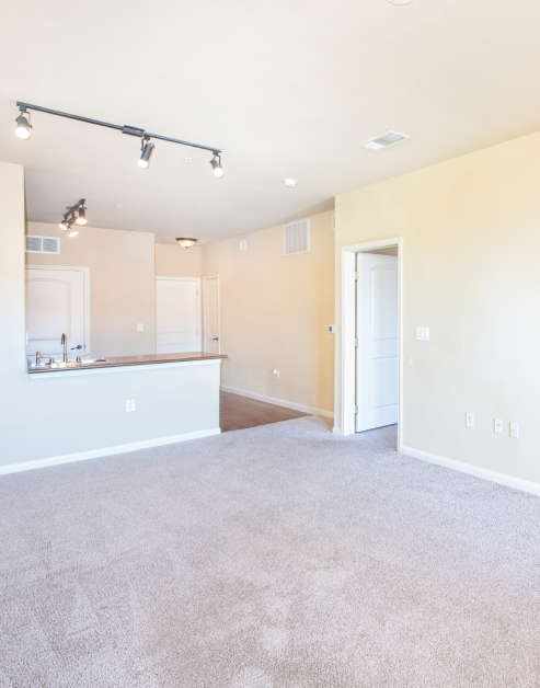An open-space empty living room next to kitchen with breakfast nook, stylish tracked lighting and carpeted floors at MAA Bella Casita luxury apartments in Irving, TX