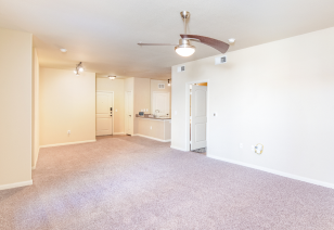 An open-space living room with stylish lighting and a ceiling fan, with carpeted floors at MAA Bella Casita luxury apartments in Irving, TX