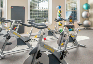 A modern fitness room with exercise bikes and exercise balls at MAA Fairview luxury apartments in Fairview, TX