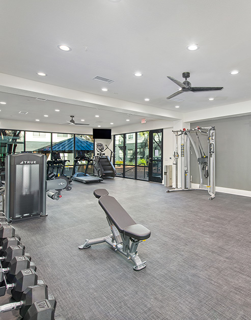 A fitness center features dumbbell weights and a bench surrounded by various exercise equipment at MAA Heights luxury apartments in Dallas, TX